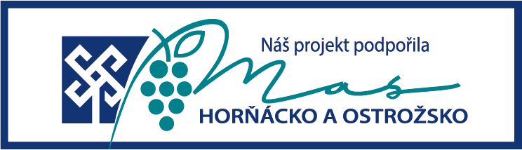 projekt MAS